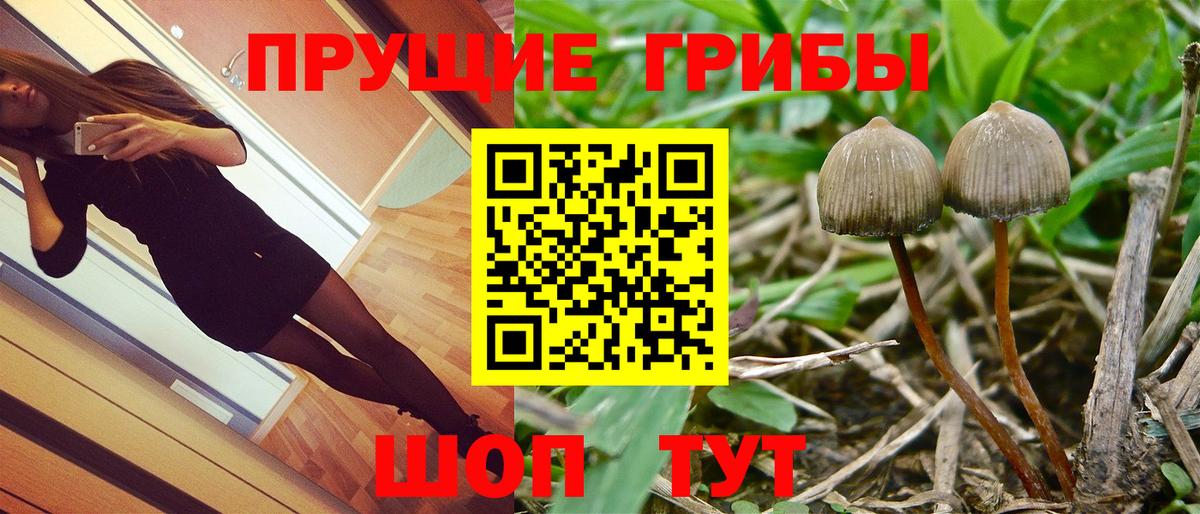 Псилоцибиновые грибы MAGIC MUSHROOMS  Вход с VPN  Галлюциногенные грибы мицелий  купить   Реутов 